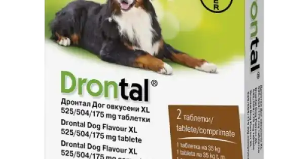 Drontal Dog Flavour XL, deparazitare interna caini talie mare, 2 tablete Cel mai vândut